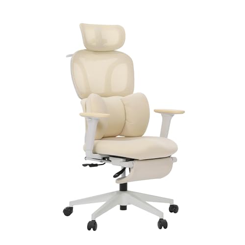 CabLady S1 Ergonomic Home Desk Chair with Fixed Lumbar...