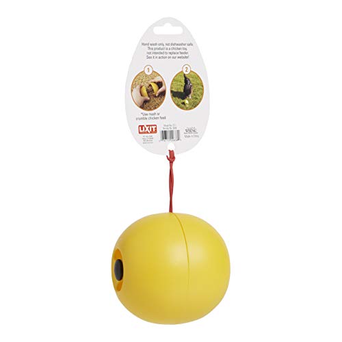 Lixit Chicken Feeder or Treats Ball Toy (2 Pack)