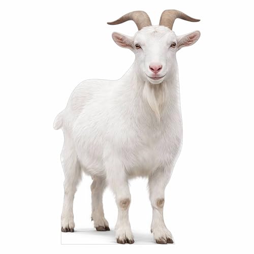 ATOZSIGN Life Size Goat Cutout 5 ft Animal Themed Party Decoration for Birthday and Themed Party