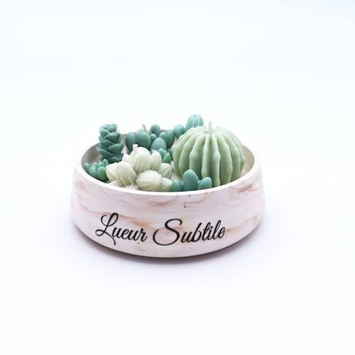Bougie artisanale plantes grasses : l'idée cadeau femme idéale