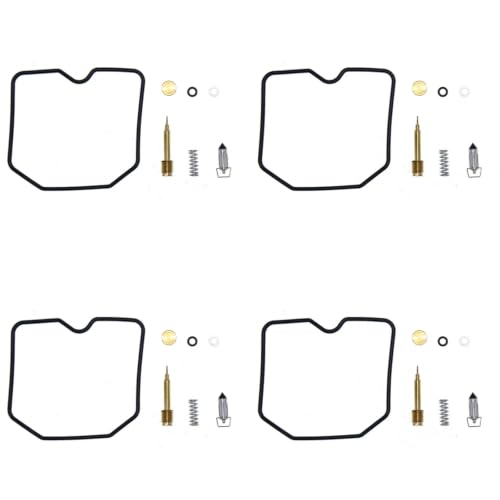Kit réparation carburateur pour supprimer les fuites essence sur ZR550