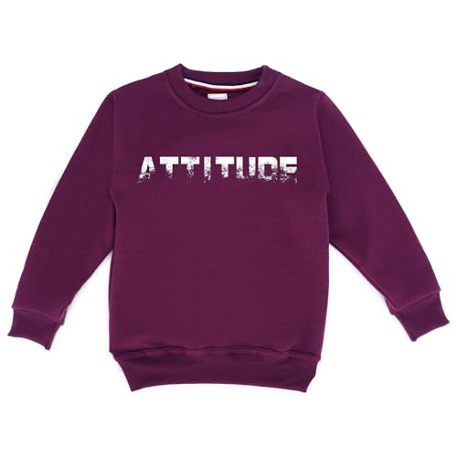 Image of Kids Woolen Graphic Print Sweatshirts and Sweatpants Set for Kids Suit Set (SWT.RN.TR-22)