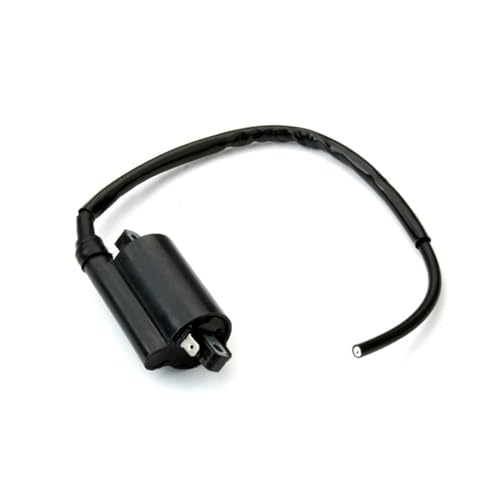 Bobine stator haute conductivité pour motos Ducati F1 GT et Monster 620