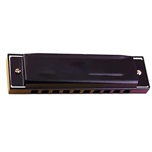 Yuxahiugkq Armonica 10-holes polyfony 3 kleuren hoge kwaliteit harmonica muziekinstrument harmonica (Color : 2)