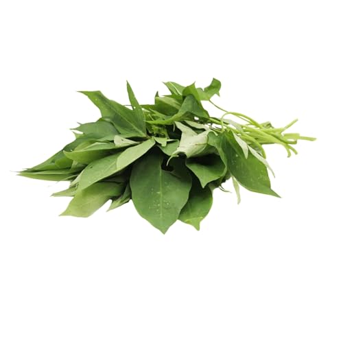 Zenxin Organic Sweet Potato Leaf