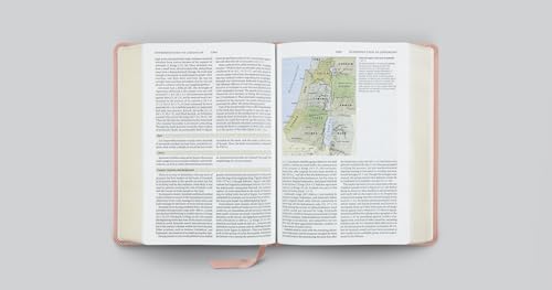 ESV Study Bible (TruTone, Pink, Fleur-de-lis Design): Holy Bible, English Standard Version - image 5