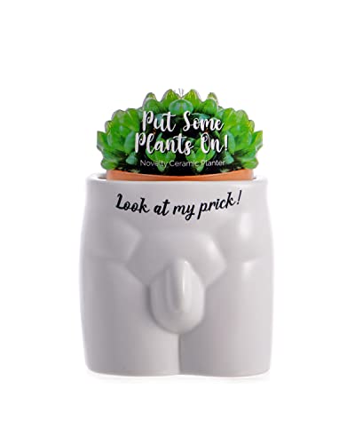 Boxer Gifts Vaso per piante a forma di corpo con scritta Always Look at My Prck, divertente e maleducato, regalo decorativo per la casa, ceramica, bianco, nero, taglia unica