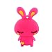 CHUYI Cute and Novelty Animal Series Rabbit Shape Design 32GB USB 2.0 Flash Drive Pen Drive Memory Stick Cartoon Thumb Drive Lovely Jump Drive Data Storage U Disk Gift (Pink)