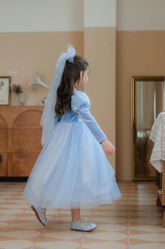 Baby Princess Dress Costume for Toddler Girls Kids Dress Up 100-140 cm, Ideal for Birthday Party, Prom and Special Occasions Roleplay Clothing Gifts for 3-12 Years Christmas Birthday Party Outfits