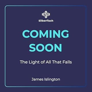 The light of all that falls Titelbild