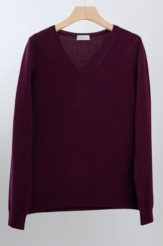 Image of JENNIE LIU Women's 100% Pure Cashmere Long Sleeve Pullover V Neck Sweater