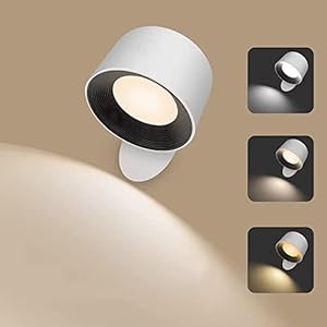 Aisuo LED Wall Light, Touch & Remote Control Light, 7 Color Temperature & 5 Brightness Levels, 360 Degree Rotate Ball, Built-in 2500mAh Battery, Rechargeable Wall Light for Bedroom, Living Room