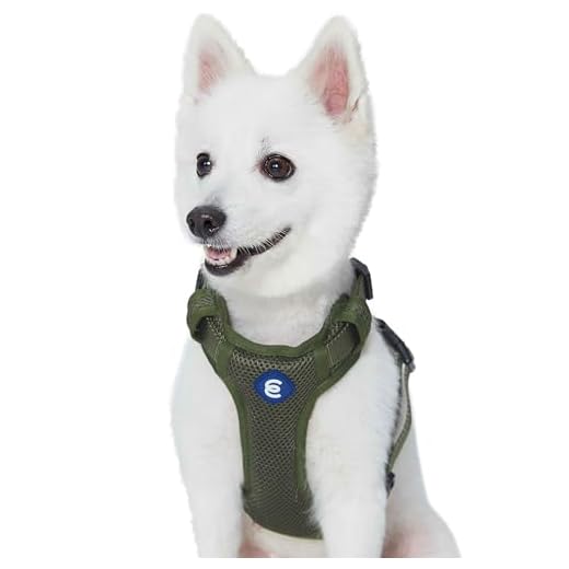 Blueberry Pet Essentials Harnais réglable anti-traction pour chien - Taille M - Harnais réglable pour promenade facile - Gilet classique en nylon solide - Vert militaire