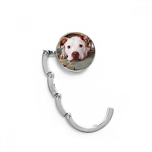 Top 10 Best Bulldog Picture Hangers 2023 Reviews