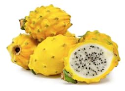 Fresh Yellow Dragon Fruit (Set of 4)