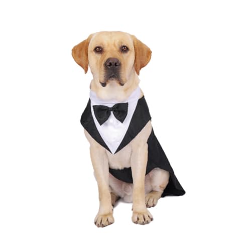 Traje formal para perro pequeño Beaupretty con moño blanco miniatura 4