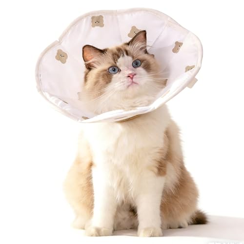 Collier conique doux anti-morsure pour chat, collier de récupération ajustable et léger pour chat, cône de protection du cou des chats après chirurgie pour petits animaux chats chatons chiots après