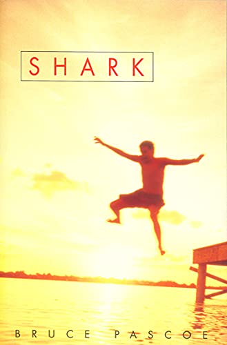 Shark view 2