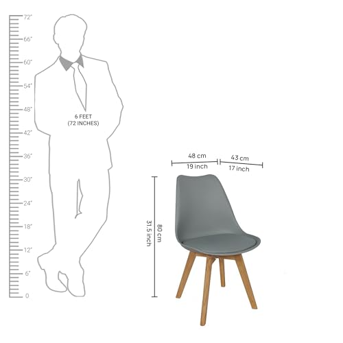 Image of Creative Scandinavian Chair with Padded & Solid Beech Wood Legs Chairs for Dinning Cafe, Home, Hotel & Office (Pack of 1) (Grey)