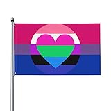 Bisexuelles, genderfluides, polyromantisches Pride-Banner (90 x 150 cm) – UV-beständig – mit Ösen