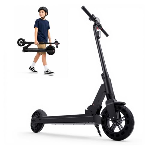fregogo SEL-H8 Electric Scooter