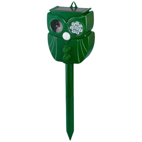 ACO}ފ퉮OAgACO}ފ,hL悯 - A_LEDCgƃ[VZT[tAAAp