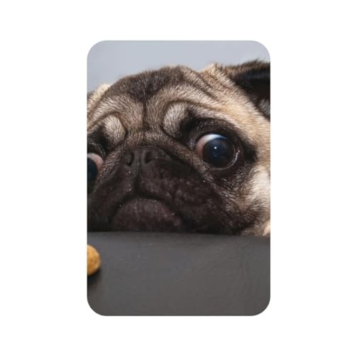 GSGCSBYMLG Kühlschrankmagnete mit Mops-Motiv