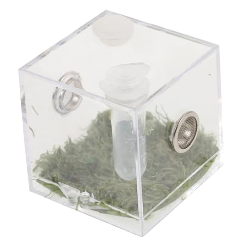 MOTHNUR AN偎{bNX ʋCEt a ^঒ pώ@P[X KȐێ\