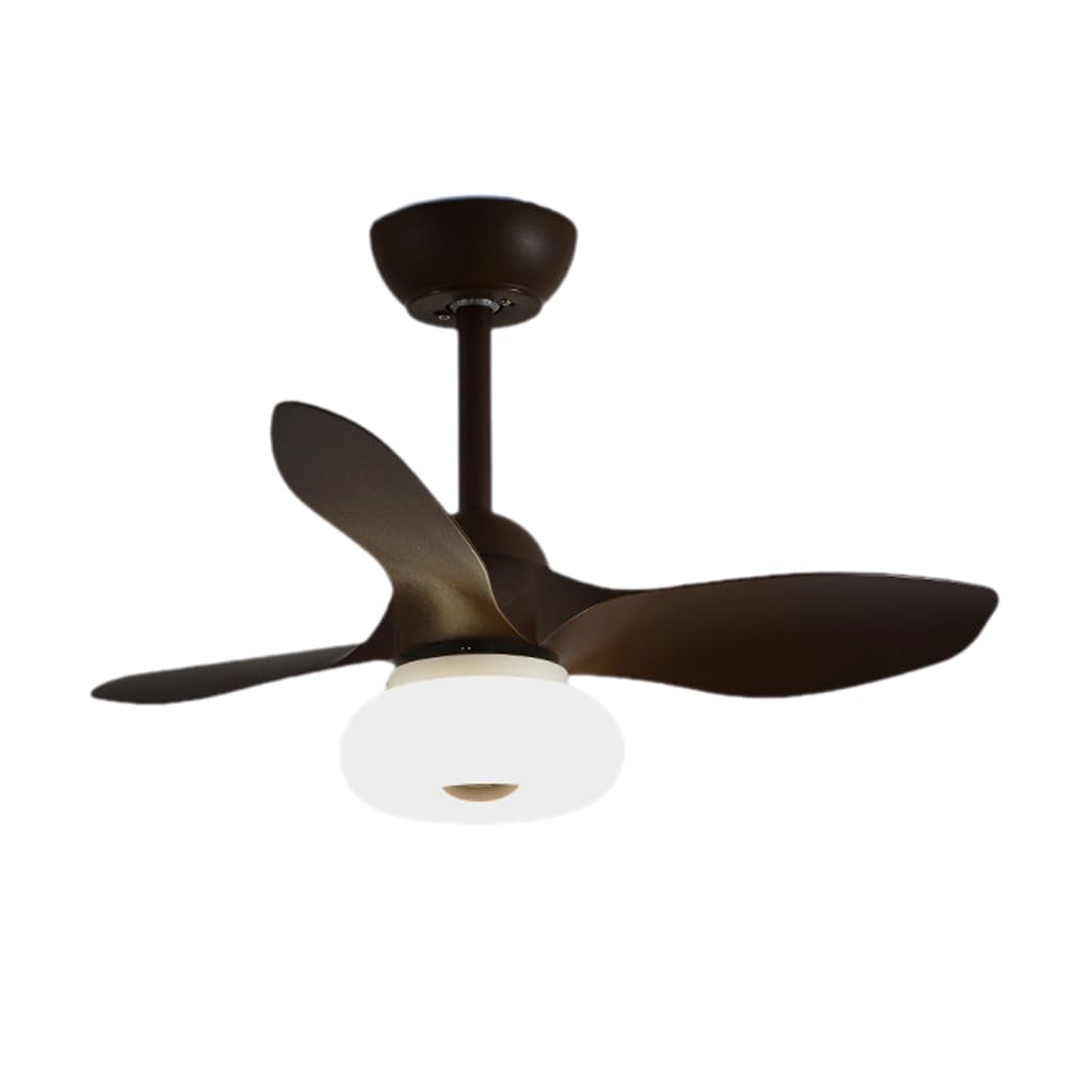 HXYSXHJUO Fan Light Ceiling Electric
