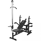 GORILLA SPORTS® Kraftstation - Hantelbank mit verstellbare Hantelablage, Latzugturm, Butterfly, Beincurler, Schwarz oder Weiss - Trainingsbank, Fitnessstation, Trainingsstation (Schwarz)