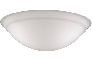 Fanimation Ceiling Fan Glass Bowl: An Illuminating Addition to Your Home