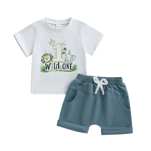 WZTYYDS Baby Boy First Birthday Outfit Number Animal Print Short Sleeve Tops & Shorts Sets 1st Birthday Outfit Summer Clothes (Beige 12-18 Months)