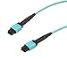 L-COM - MPMM8OM3BZ-10 - Fibre Cord, MPO Plug-MPO Plug, MM, 10M