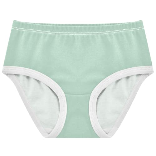 Joisal Pastel Cyan Green Panties for Girl Girls Underwear Toddlers Cotton Artistic Kids Undies Briefs 2t