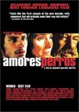 Amours Chiennes Alejandro Gonzalez Iñarritu