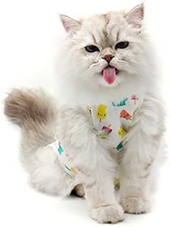 Due Felice Cat Professional Surgical Recovery Suit for Abdominal Wounds Skin Diseases, After