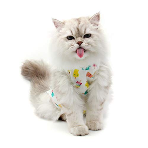 Best Popsicle For Cats