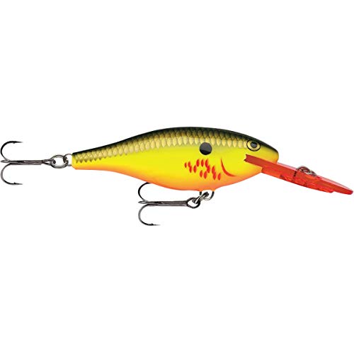 Rapala Shad Rap Bleeding Hot Olive (7)