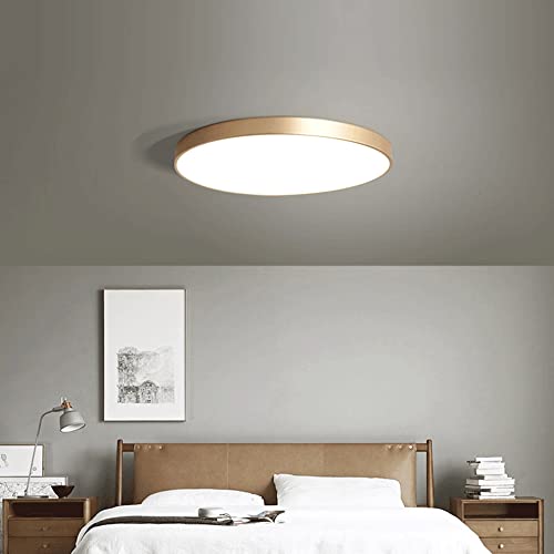 Plafonnier très lumineux à intensité variable pour votre intérieur