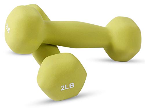 Best 20 Pound Dumbbells