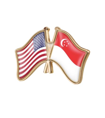 Image of World Most Countries Single Pin Brooch Badge United States USA America and Other Countries Cross Friendship Pin Badge for Men Women