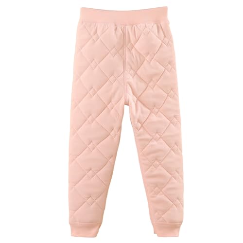 Nуpc LbY j̎q ̎q ȃpc Opc g ȓ ےg LeBO ʋC o ʊw Ꮬ ct Mtg (sNC150)