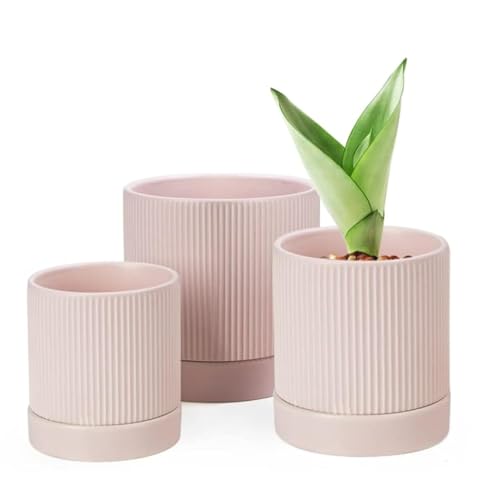 LaDoVita 3 Pack Ceramic Plant Pots 6/5/4 inch, Flowerpot for Indo...