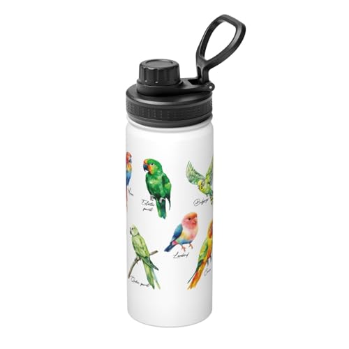 ���� �I�E�� �C���R�̎�� �X�e�����X�{�g�� ���@�r 530ml ������ �ۗ�ۉ� �^��f�M �X�|�[�c�{�g�� ��e�� �n���h���t�� �����^�� �R��h�~ ������� �o�R �A�E�g�h�A �ʋ� �ʊw