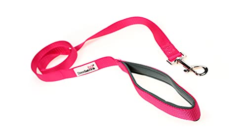 Doodlebone, Padded Dog Lead, Comfortable Dog Leash with Soft Neoprene Padded Handle, Strong Clip, 120cm Length