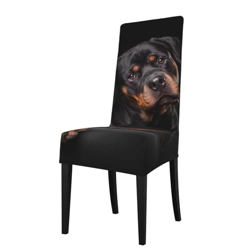 YOFIEN Rottweiler, cariñoso, Seguro y Leal. Protector de Silla extraíble y Lavable. Funda elástica para Silla de Comedor.