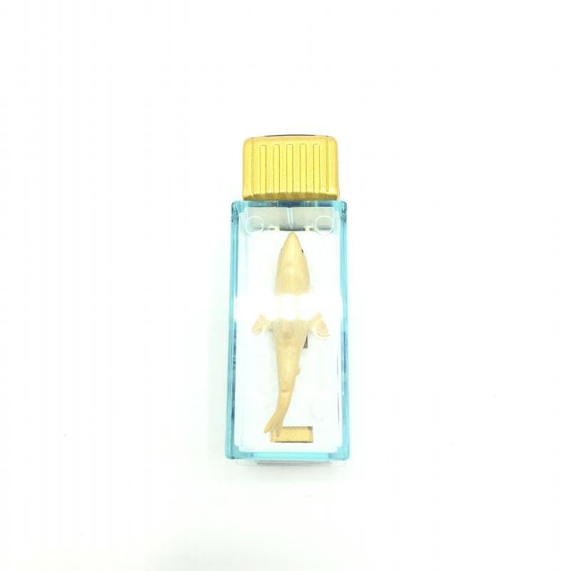 Amazon.co.jp: ①クリア賞UDトラックスクオン金色サメ運搬トラック