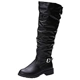 POLP Botas Mujer Invierno de Cuero de tacón alto Botas de algodón con Cremallera Zapatos de Mujer con Terciopelo Zapatilla alta Botas de nieve