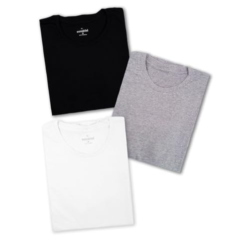 Kit 3 Camisetas Básicas Masculinas Sandrini Preto ou Sortido Algodão Premium Conforto Casual Dia a Dia (BR, Alfa, M, Regular, Sortido)