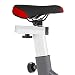FITFIU Fitness BESP-100 Bicicleta indoor con disco de inercia de 16kg y...